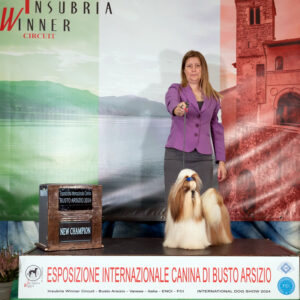 INSUBRIA WINNER Expo Internazionale Busto Arsizio 2024