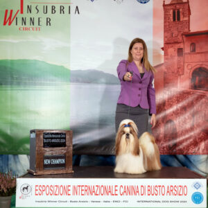 INSUBRIA WINNER Expo Internazionale Busto Arsizio 2024